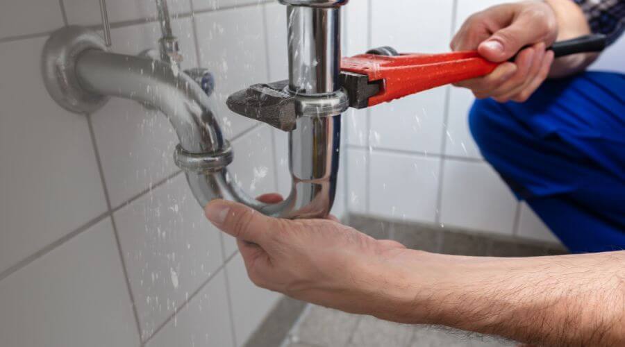 Professional Leak Detection in Mesa, WA